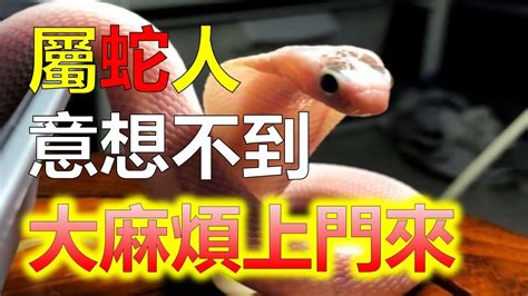 屬蛇男配對|揭秘：生肖屬蛇人這輩子的最佳姻緣伴侶？